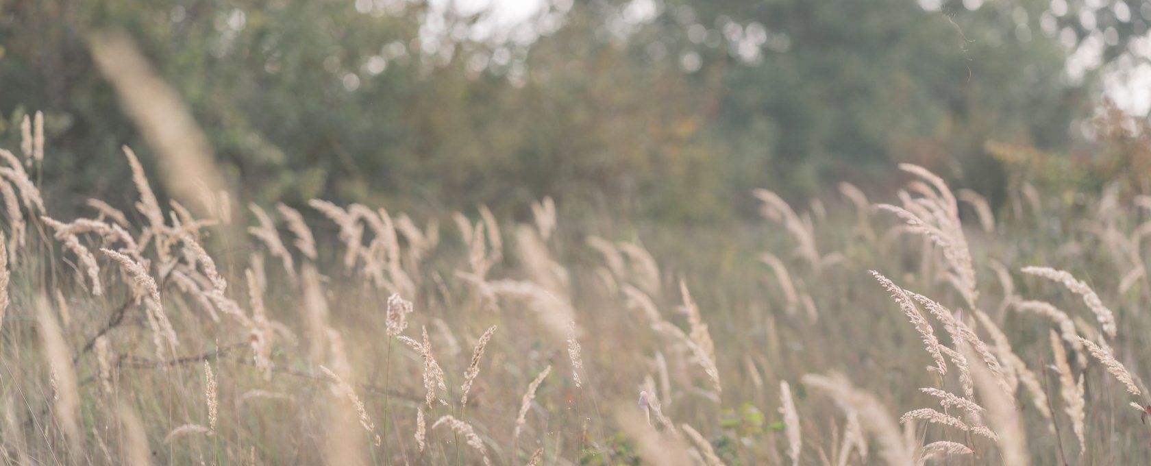 Ervaringen deelnemers