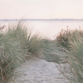 Inzicht en Inspiratie