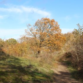 1. Afstemmen op Licht, Vreugde en Liefde in lastige tijden