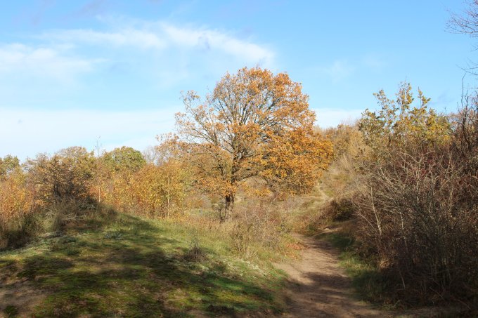 2. Lichtwerker meditatie in lastige tijden