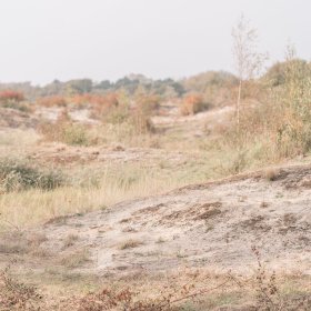 Lichtmeditaties voor lastige en kwetsbare tijden